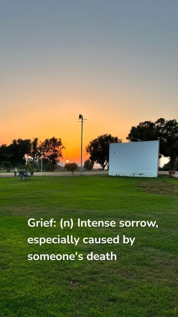 Grief: (n) Intense sorrow, especially caused by someone's death
